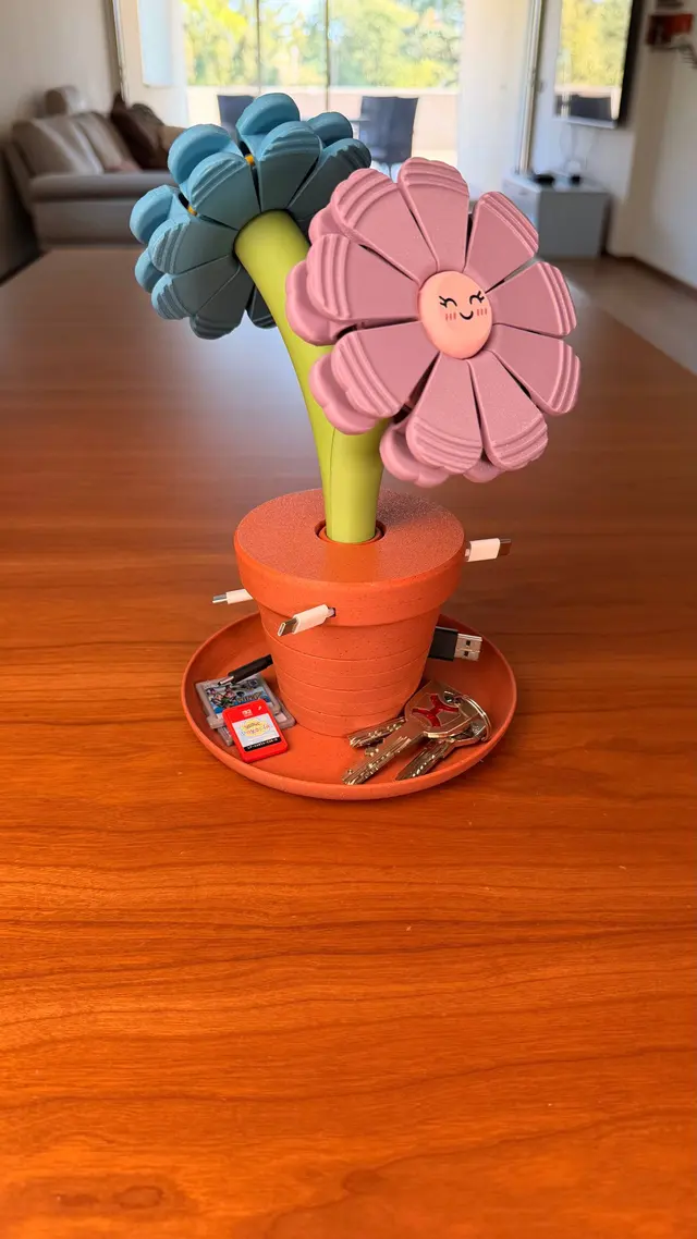 Bloom Stack