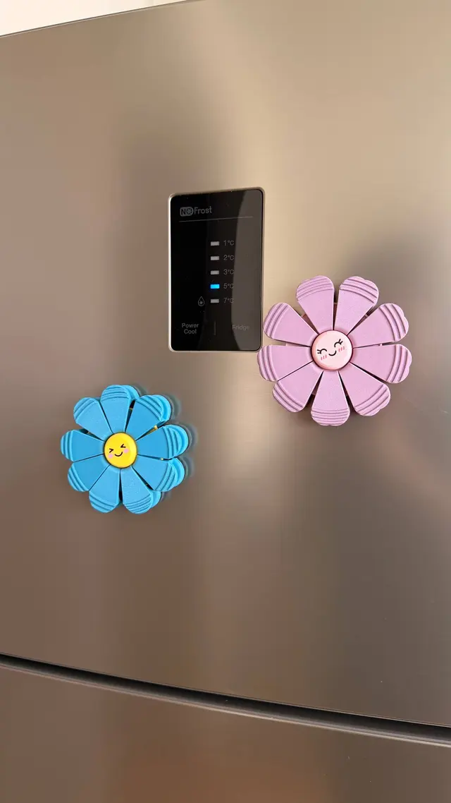 Two magnetic flowers stuck to a fridge door