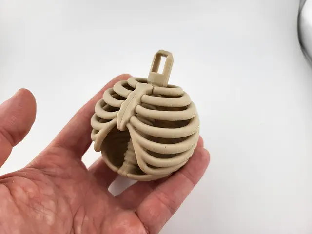 Bone-coloured rib cage Christmas bauble, view 2