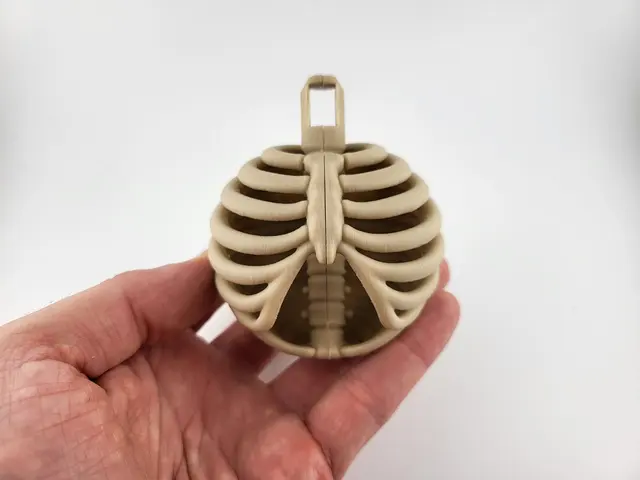 Bone-coloured rib cage Christmas bauble, view 4