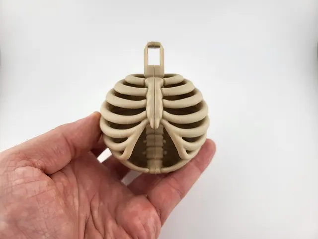 Bone-coloured rib cage Christmas bauble, view 5